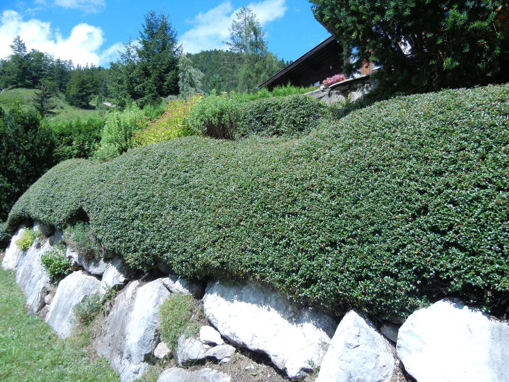 Privathaus Achensee Achenkirch Habitación foto